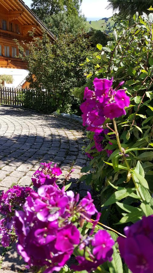 Bergluft Bed & Breakfast Lenk Exterior photo